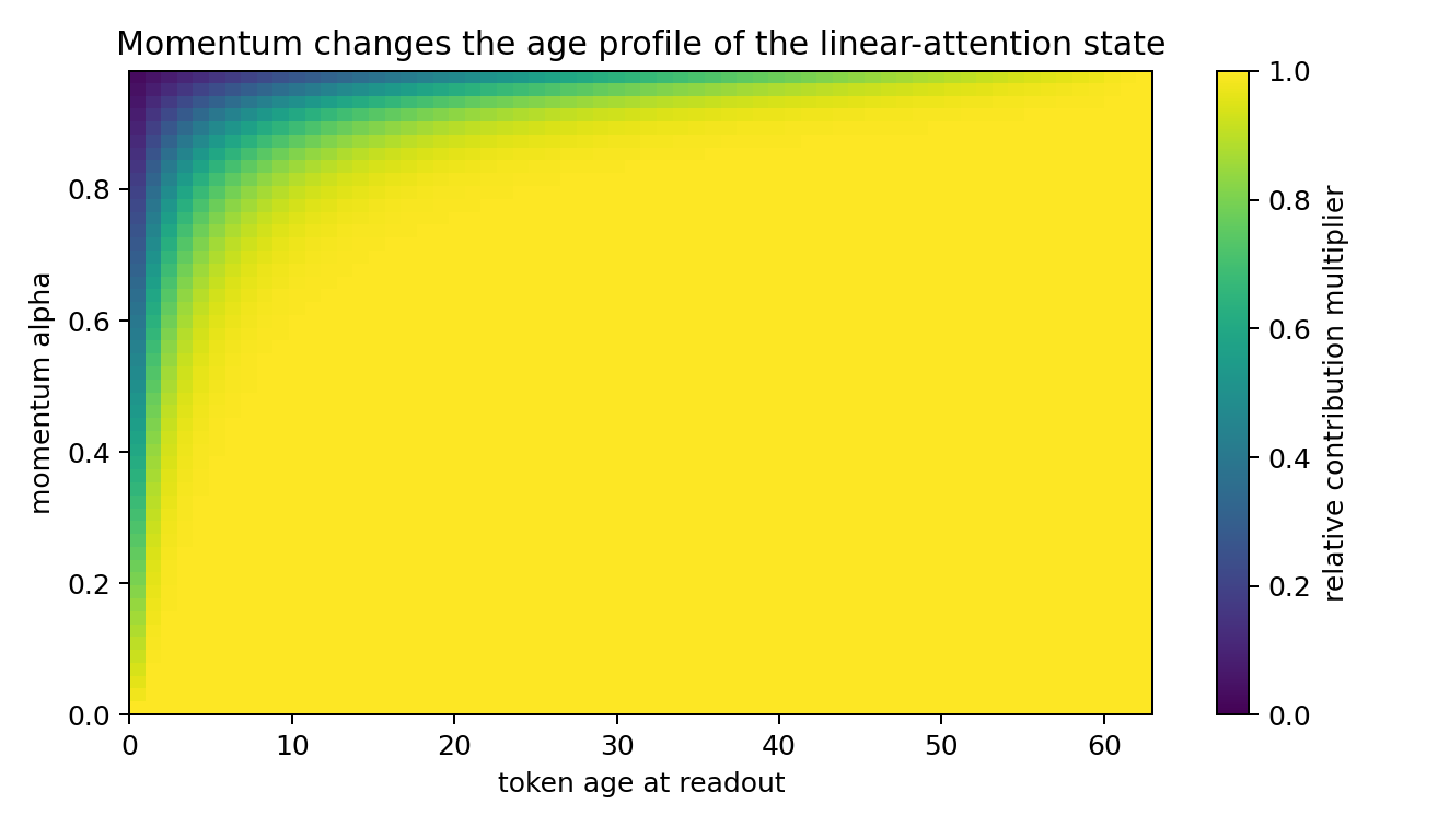 Momentum changes the age profile of token contributions in the unrolled state